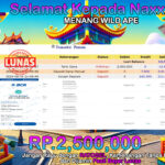 BUKTI JACKPOT SLOT WILD APE  TERPERCAYA DI INDONESIA TGL 15-08-2024